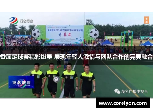 番茄足球赛精彩纷呈 展现年轻人激情与团队合作的完美融合