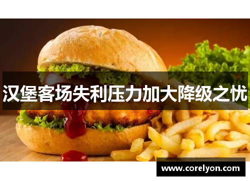汉堡客场失利压力加大降级之忧