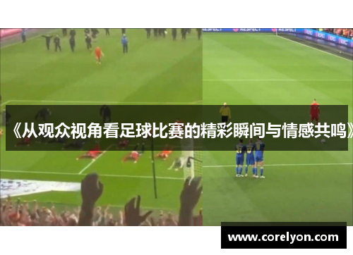 《从观众视角看足球比赛的精彩瞬间与情感共鸣》